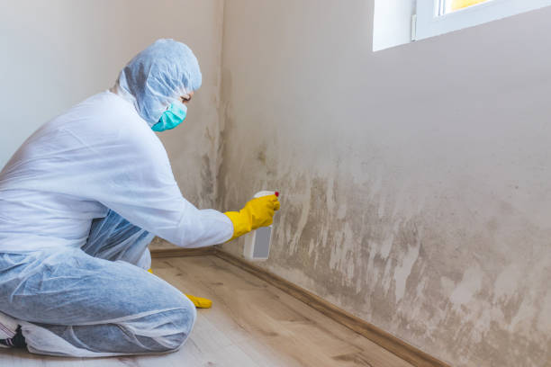 Mold Remediation specialist working in Benson