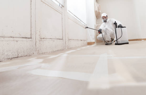 Black mold remediation team in Benson